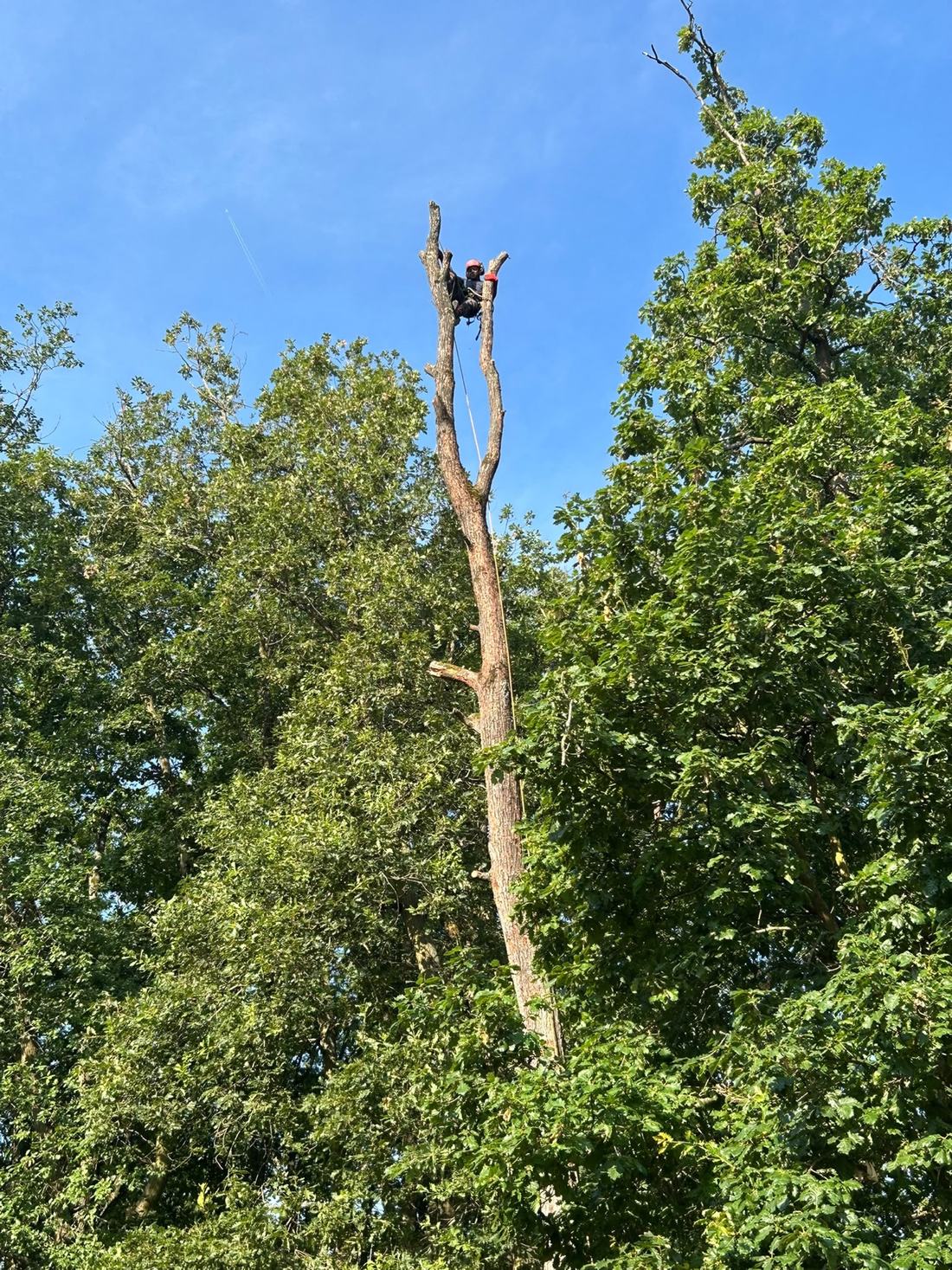 Réduction de hauteur sur corde