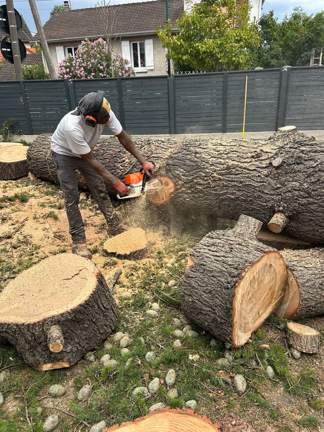 Débit des billes à la tronçonneuse